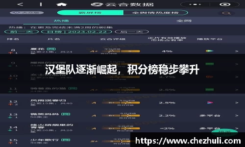 汉堡队逐渐崛起，积分榜稳步攀升