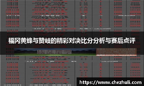 福冈黄蜂与赞岐的精彩对决比分分析与赛后点评